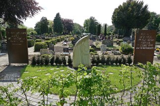 Bild Friedhof Emlichheim - Sternenkinderfeld Bild Friedhof Emlichheim - Sternenkinderfeld