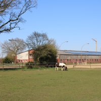 Bild Reithalle und Reitplatz Emlichheim